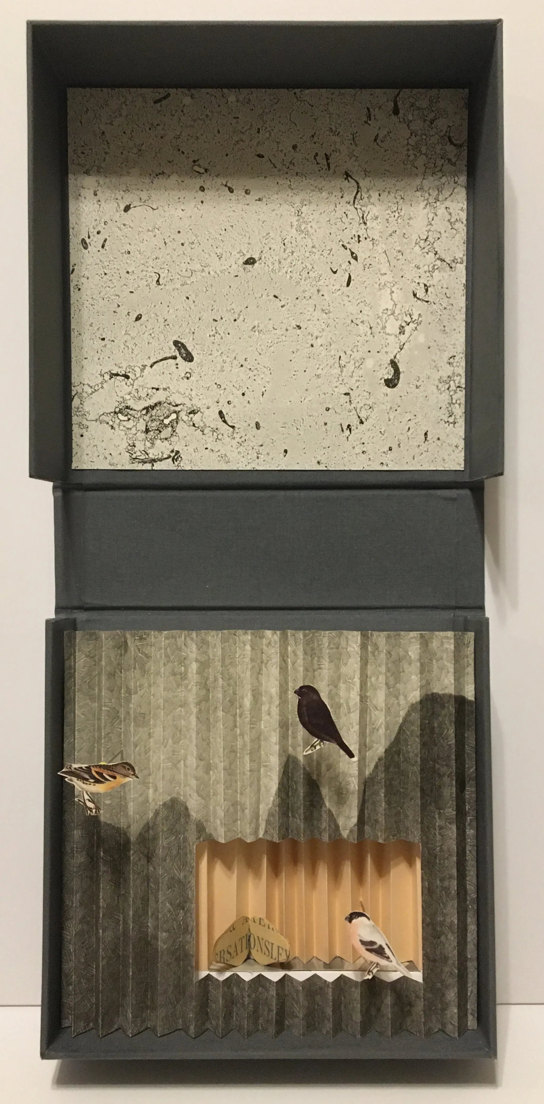 Confined to the Mountain — Boxed assemblage: lithograph, chine collé, book board and bookcloth