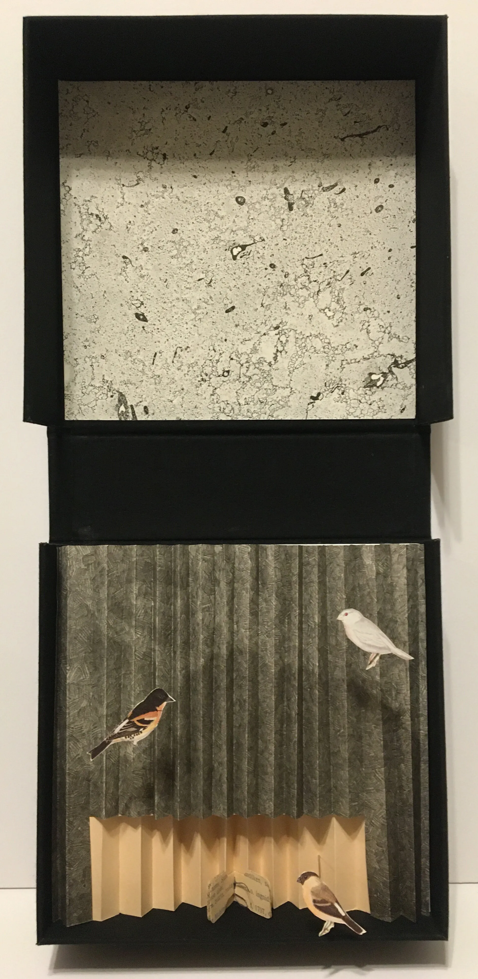Confined to the Mountain — Boxed assemblage: lithograph, chine collé, book board and bookcloth — view 2