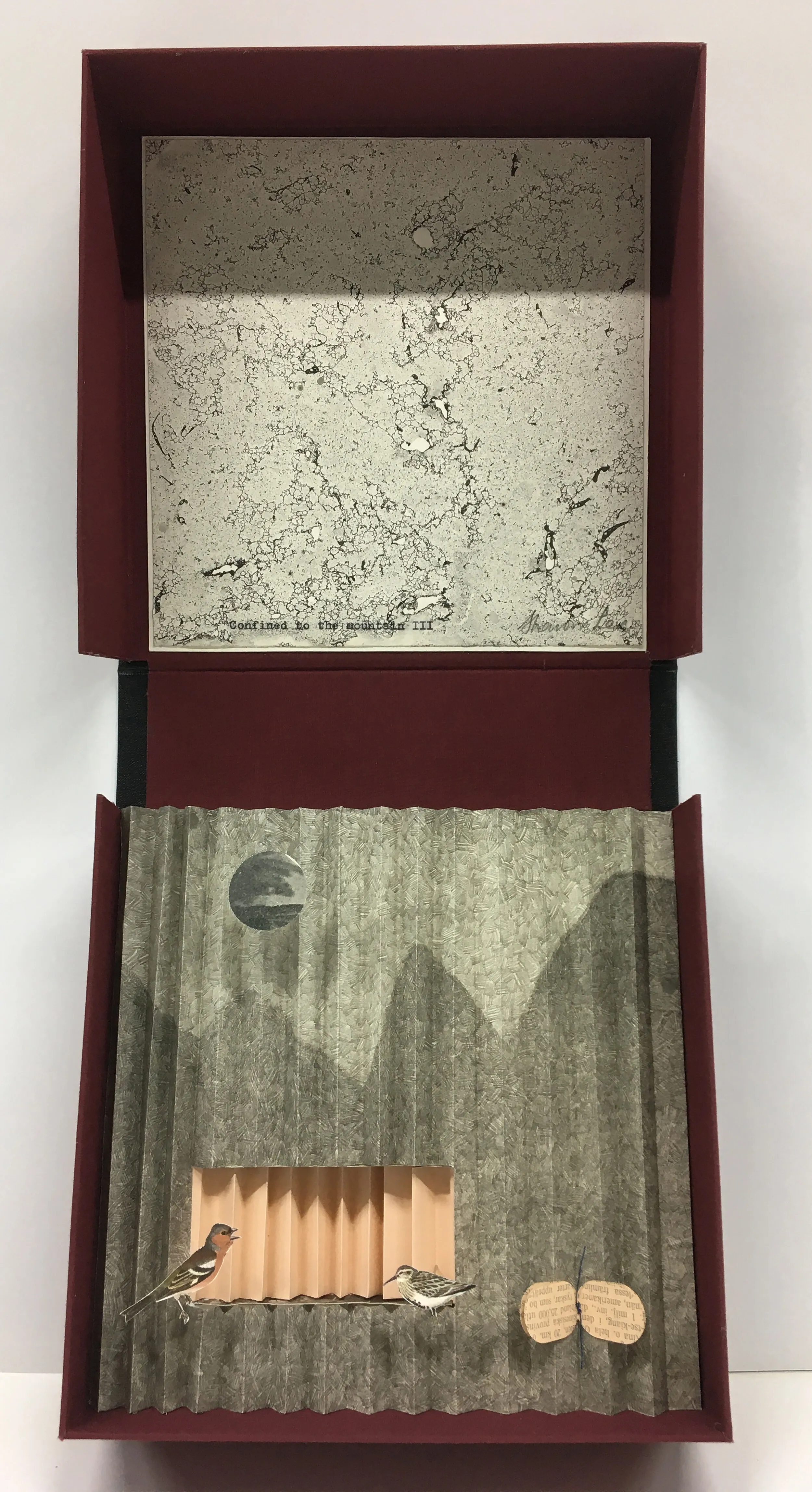 Confined to the Mountain — Boxed assemblage: lithograph, chine collé, book board and bookcloth — view 3
