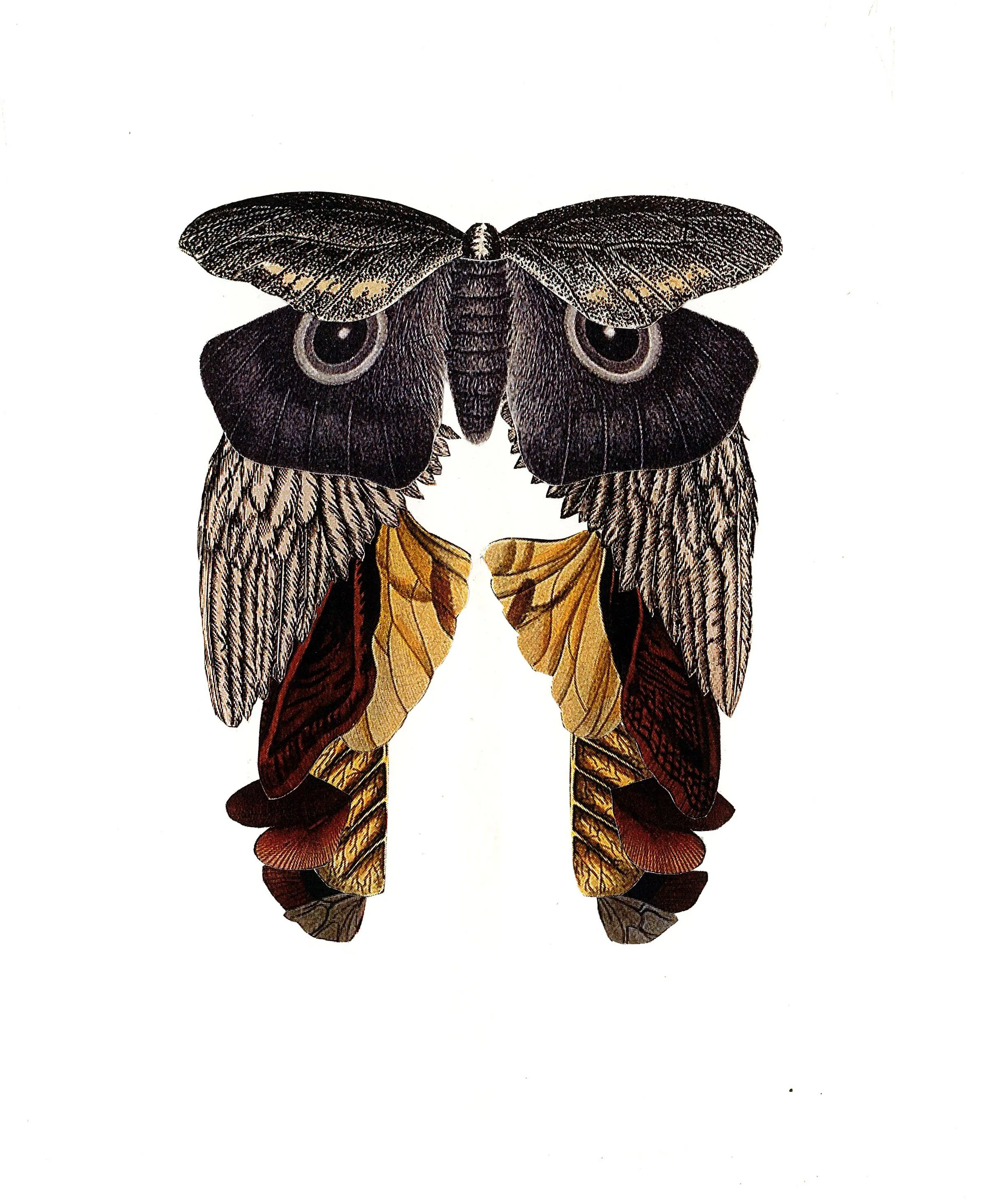 Hand cut analogue collage by Sharon Lee (39)