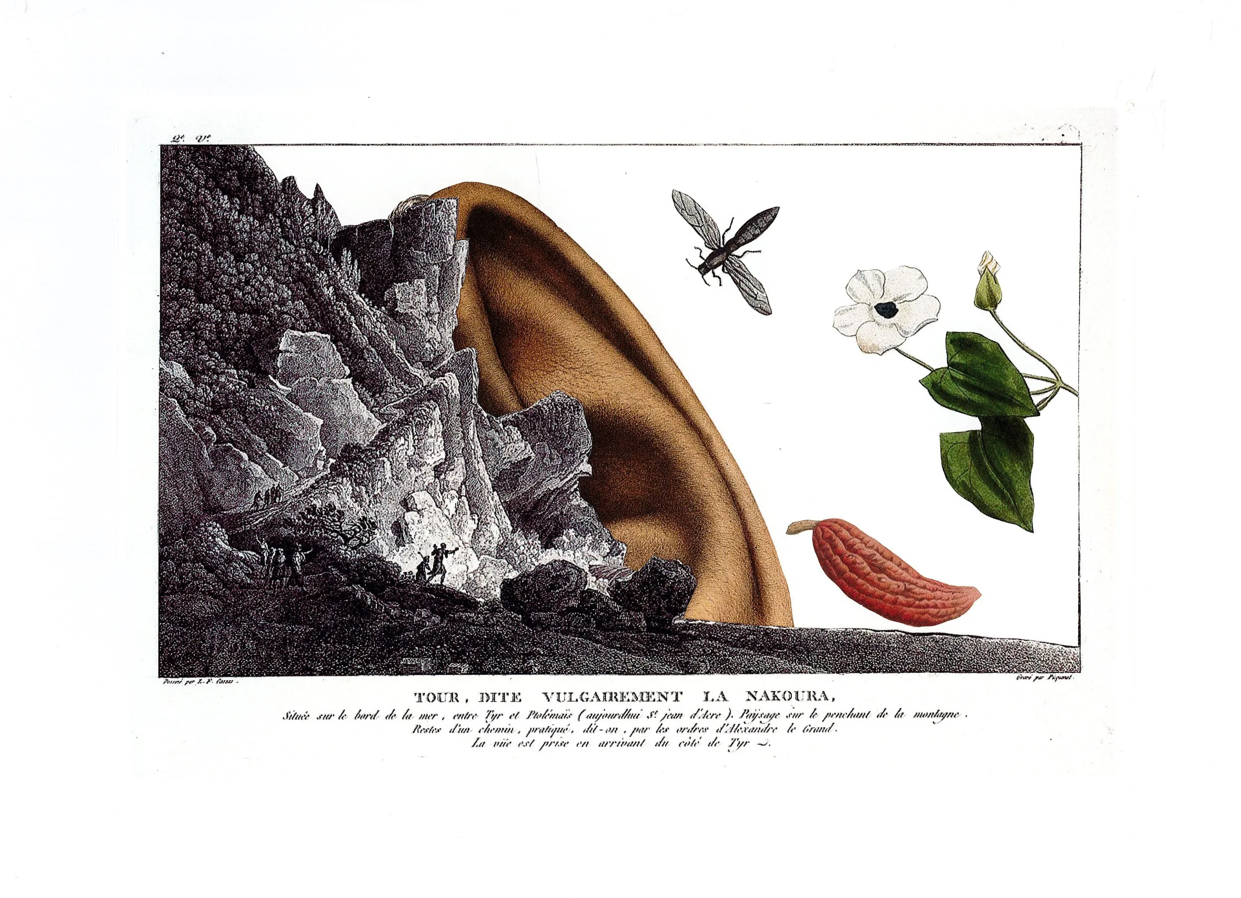 Hand cut analogue collage by Sharon Lee (36)