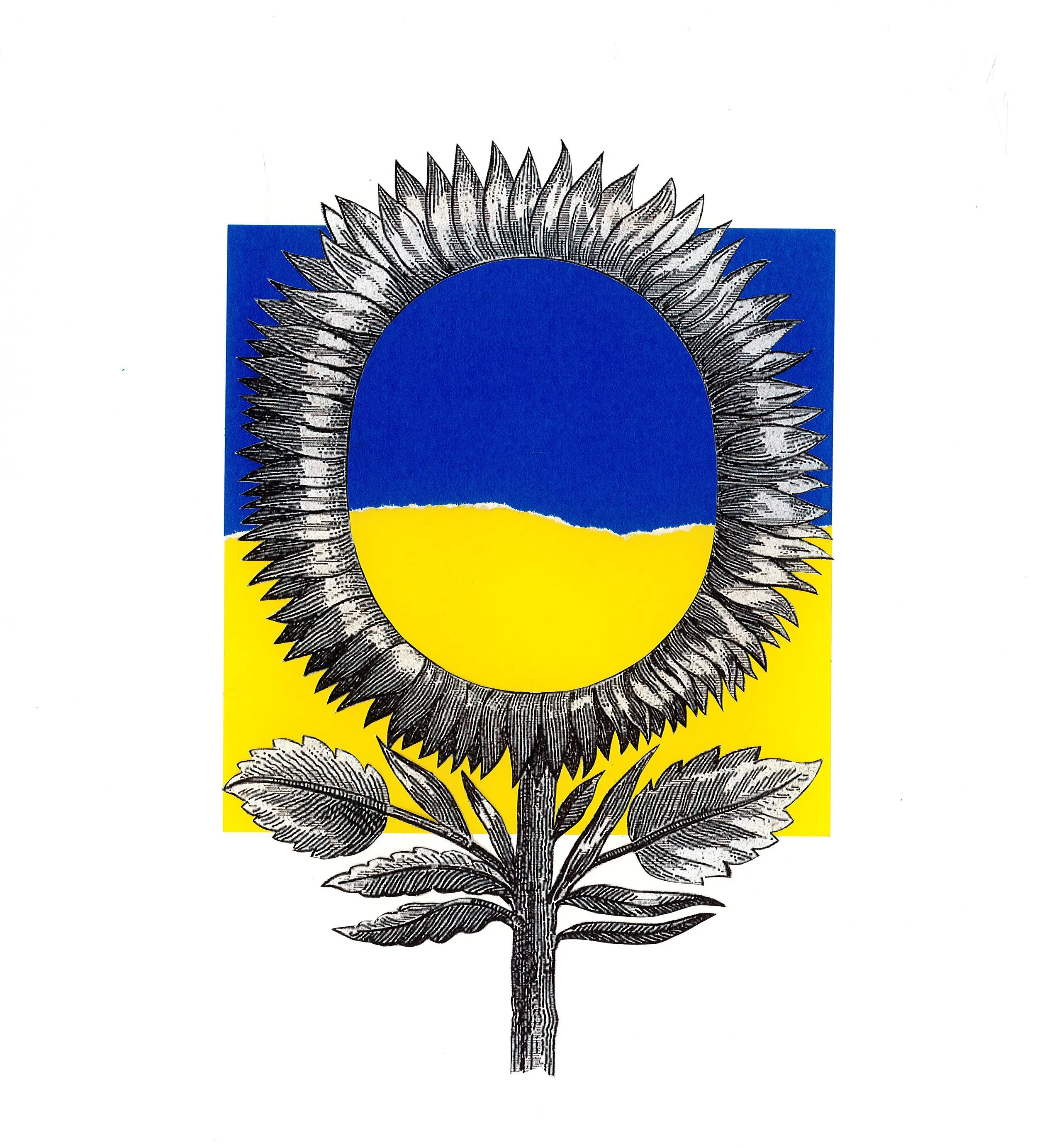 Hand cut analogue collage by Sharon Lee (35)