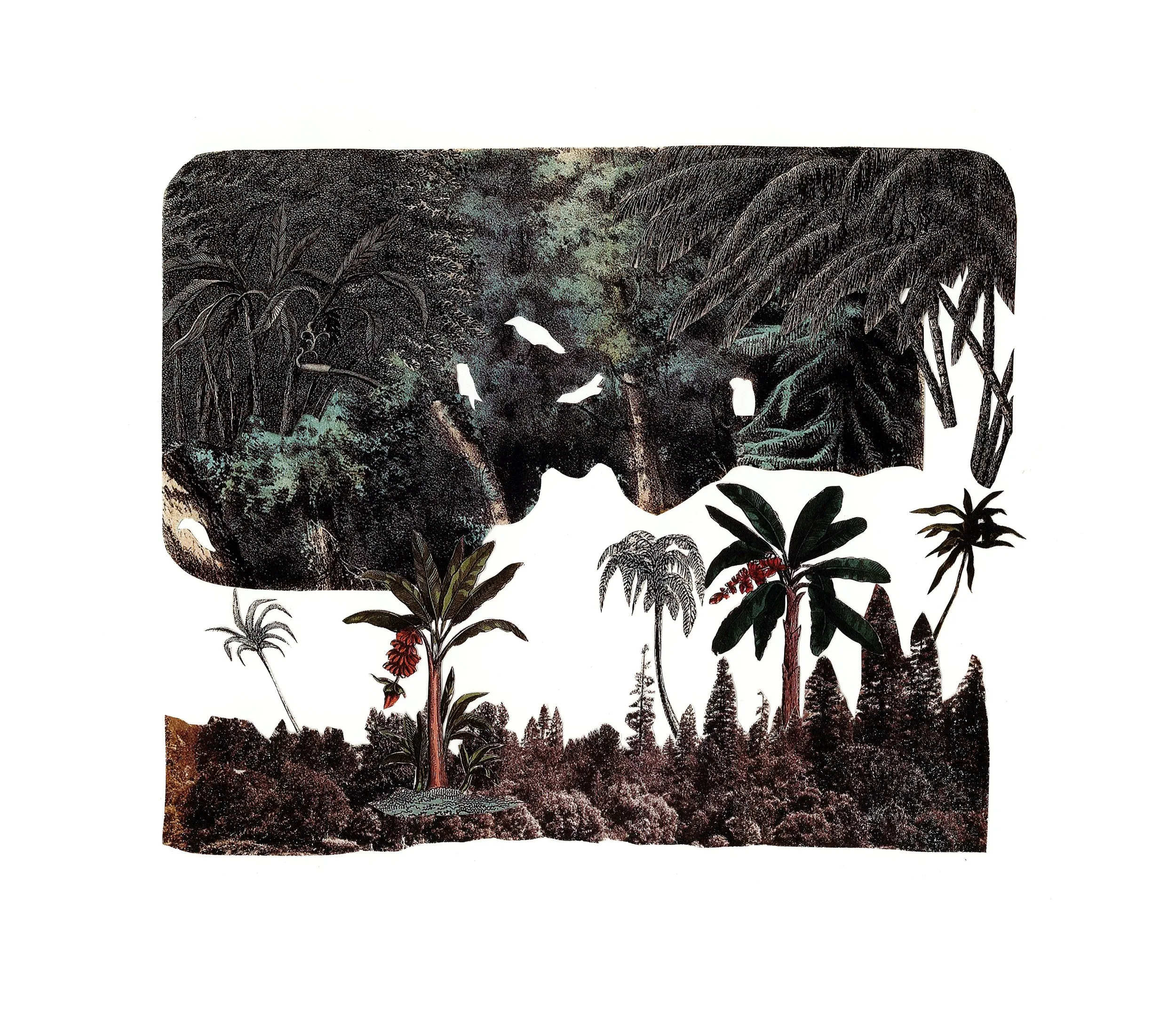 Hand cut analogue collage by Sharon Lee (10)
