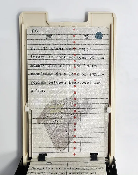 Heart Box Set — Artist book box set, lithograph and book arts — view 4