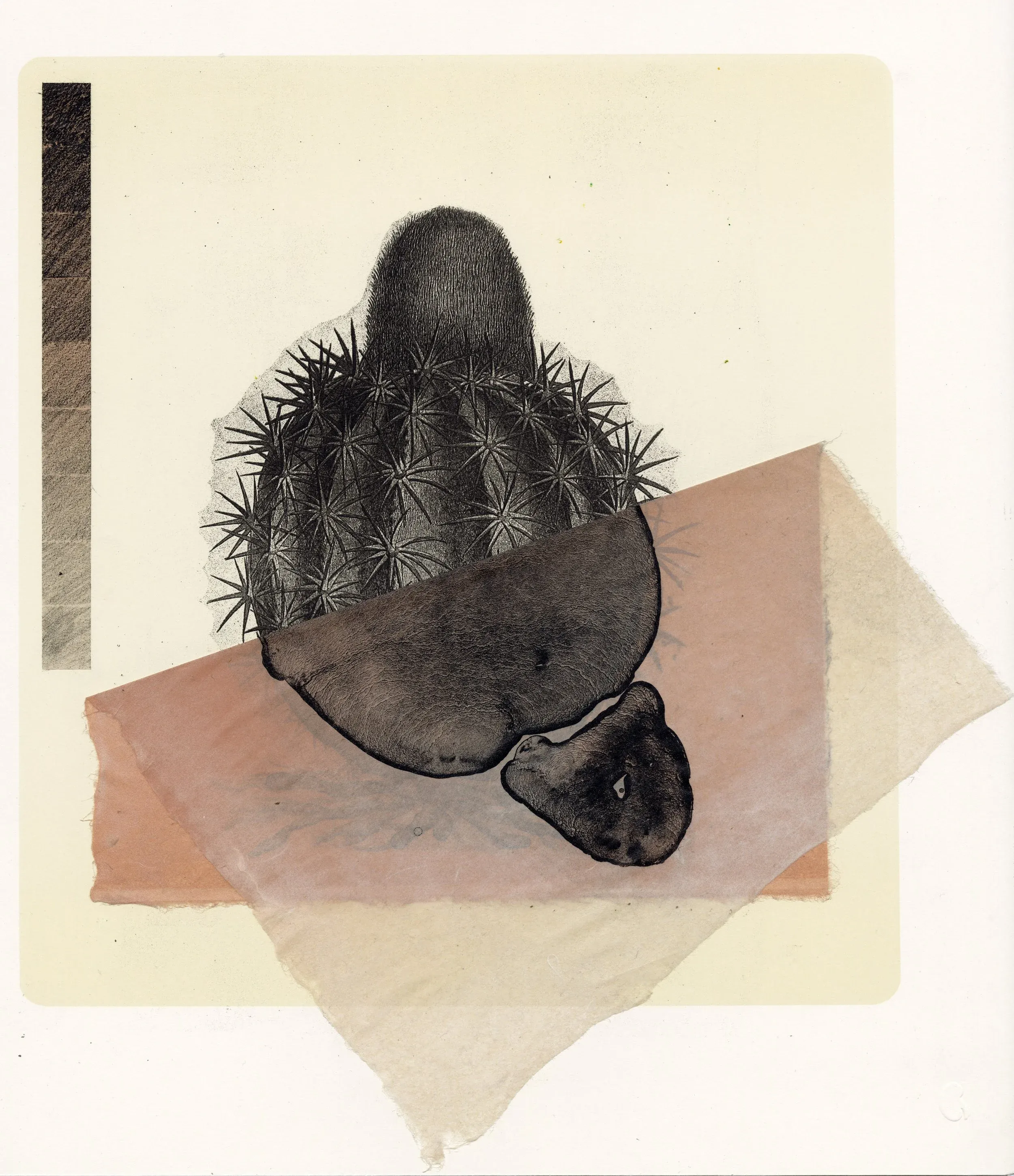Melocactus Communis — A five colour lithograph printed on Soft white Somerset satin with Kawanaka paper chine collé