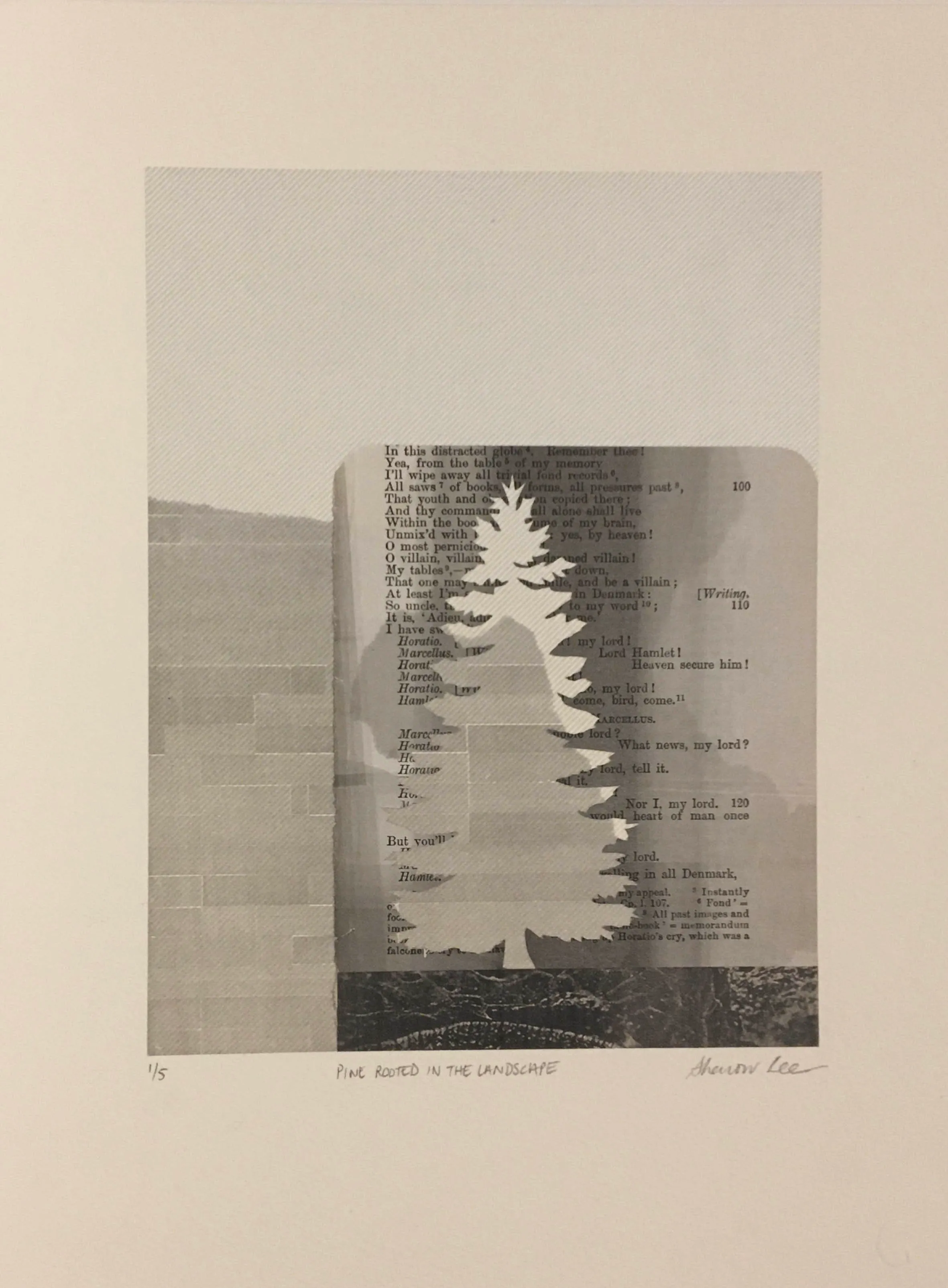 Pine rooted in the landscape — lithograph, chine collé