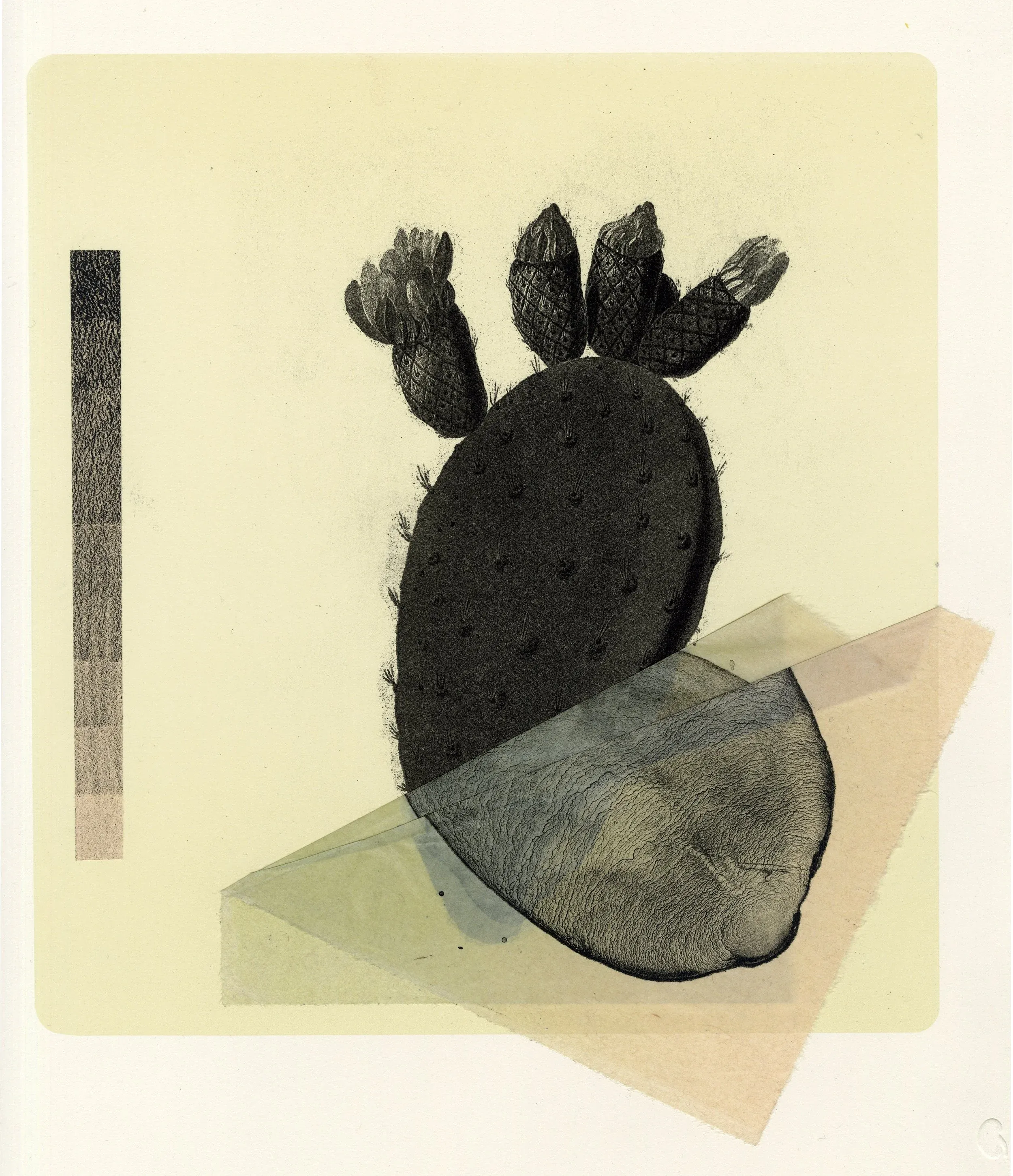 Prickly Pear — A five colour lithograph printed on Soft white Somerset satin with Kawanaka paper chine collé