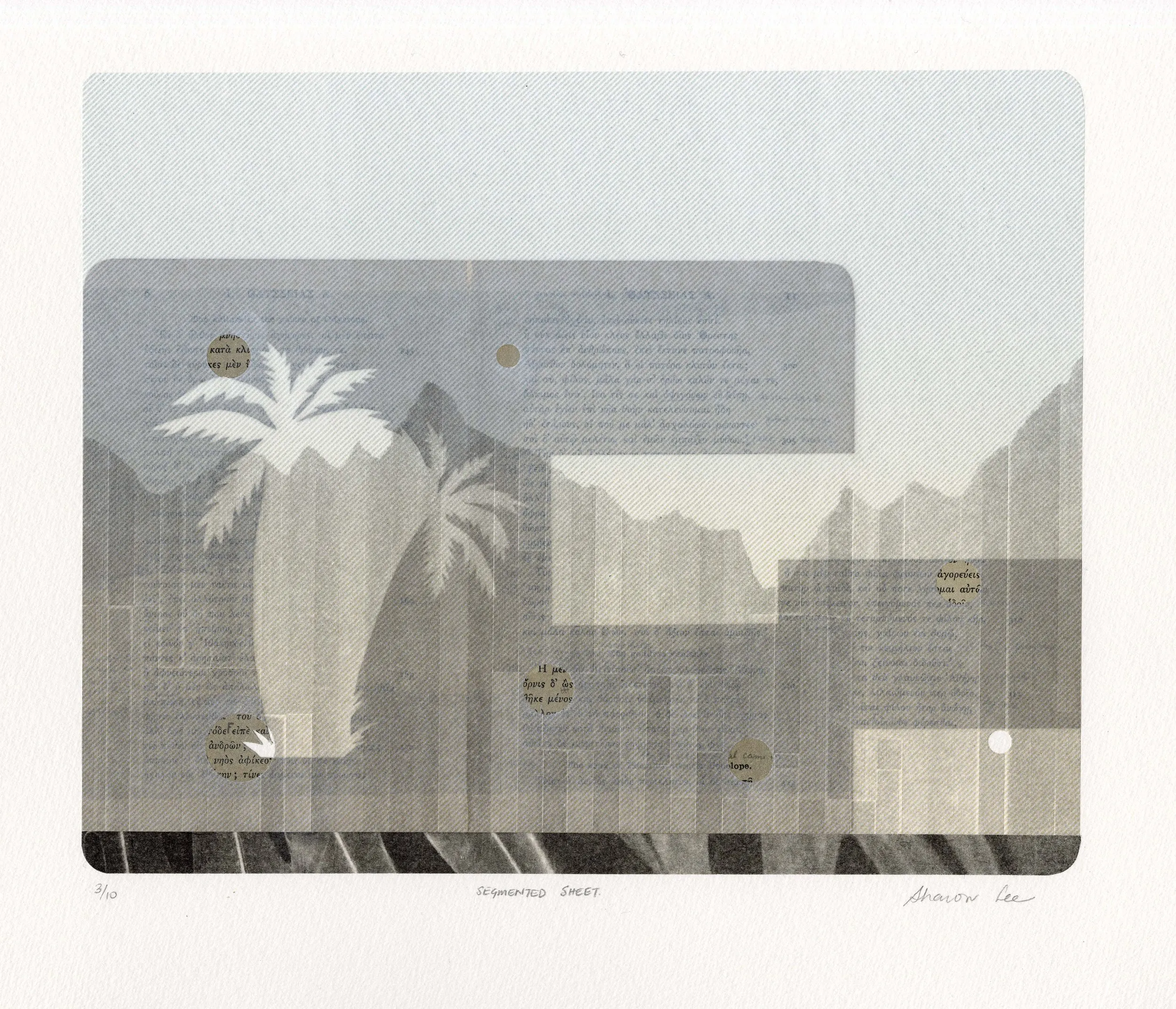 Segmented Sheet — Lithograph, chine collé