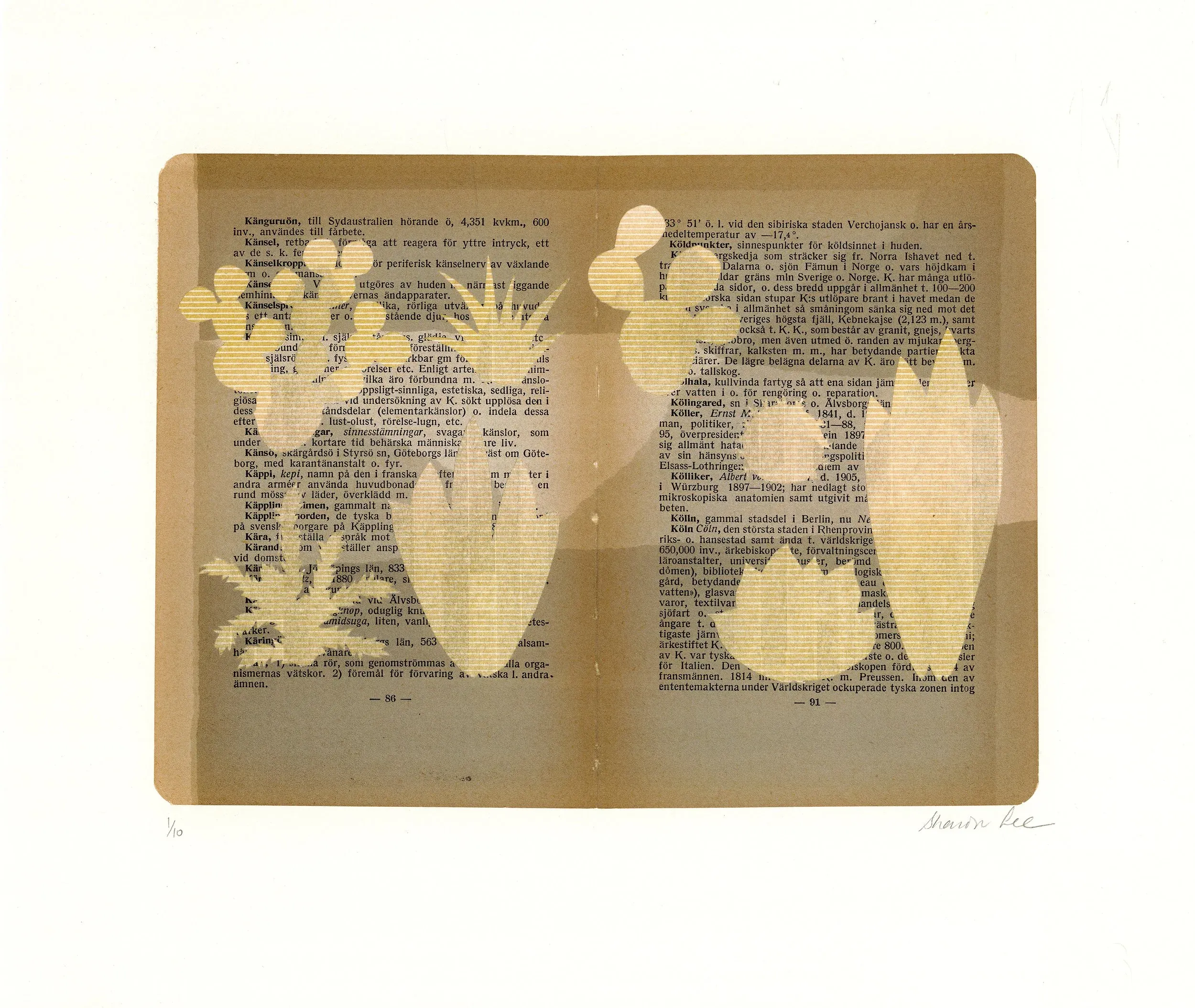 Succulents — A six colour lithograph with chine collé on Soft White Somerset Satin with chine collés of Kawanaka and hand cut found paper